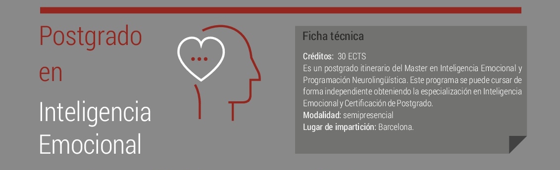 ficha tecnica postgrado IE