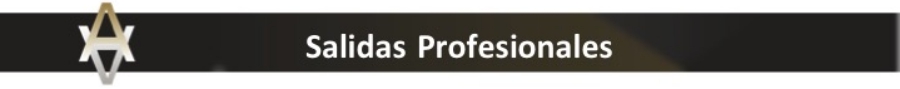 Master Internacional en Liderazgo y Coaching Empresarial